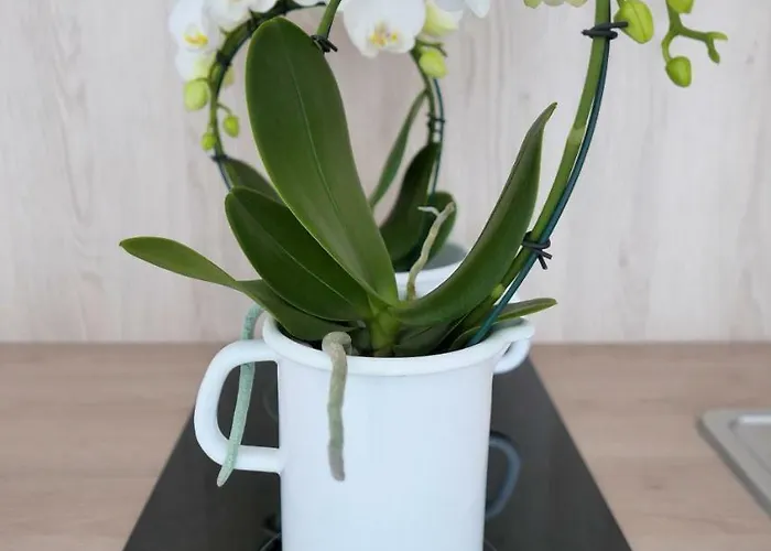 Appartement Chilliapartamenty - Blizej Morza - Bike