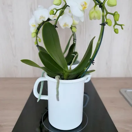 Апартаменты Chilliapartamenty - Blizej Morza - Bike